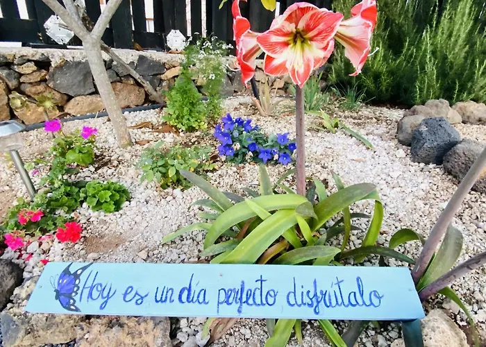 Amani Con Jacuzzi Climatizado Y Piscina Appartement