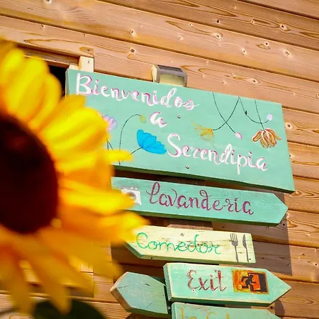 公寓 Amani Con Jacuzzi Climatizado Y Piscina