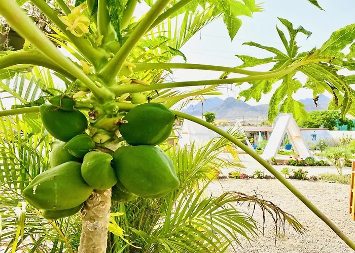 Amani Con Jacuzzi Climatizado Y Piscina